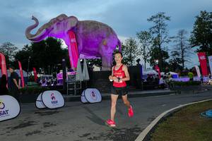 BIB: 
                            <button type="button" onclick="openModal(26529658)" class="btn btn-primary btn-sm float-right btn-popup" data-toggle="modal" data-target=".modal-high-quality">
                        <i class="fas fa-shopping-cart"></i> Add to Cart
                    </button>
                                            <button type="button" onclick="isThisMe(26529658, true)" class="btn btn-success btn-sm float-right btn-popup btn-isme hidden" data-toggle="tooltip" data-placement="bottom" title="นี่คือรูปของคุณใช่ไหม คลิกที่นี่เพื่อเอาเข้าอัลบั้ม">
                        <i class="fas fa-plus"></i> Add to album
                    </button>
                    <button type="button" onclick="isThisMe(26529658, false)" class="btn btn-warning btn-sm float-right btn-popup btn-isnotme hidden">
                        <i class="fas fa-ban"></i> Remove from album
                    </button>